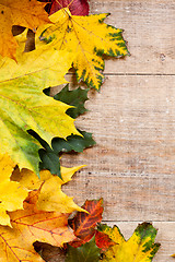 Image showing autumn leaves over wooden background 