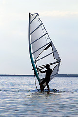 Image showing Silhouette of a windsurfer
