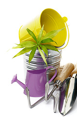 Image showing Watering Can with Gardening Tools