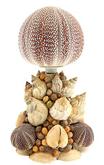 Image showing Sea shell lamp