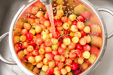 Image showing watering fresh cherry in colander