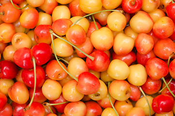 Image showing red and yellow cherry