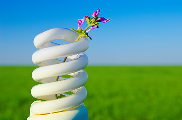 Image showing flower in energy saving lamp