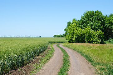 Image showing rural road under blue sky with tree