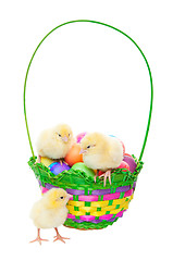 Image showing Chicks in Easter Basket