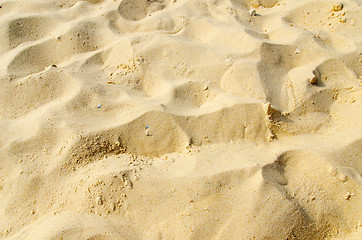 Image showing sand closeup as texture