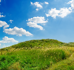 Image showing green grass and deep blue sky