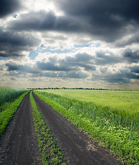 Image showing dirty road to cloudy horizon