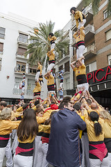 Image showing Castellers, several towers of one