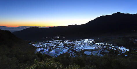 Image showing Sunrise at rice terrace fields in Yuanyang, Yunnan Province, Chi