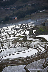 Image showing Rice terraces in Yuanyang, China at sunrise