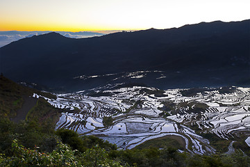 Image showing Sunrise at rice terrace fields in Yuanyang, Yunnan Province, Chi