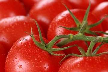 Image showing Closeup of tomatoes with water drops