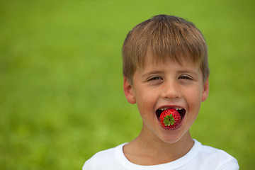 Image showing Little boy eats a strawberry