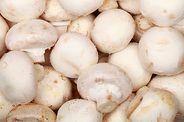 Image showing Fresh mushrooms