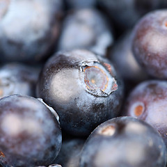 Image showing Fresh Blueberries