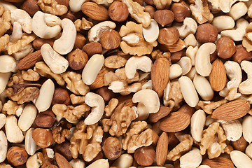 Image showing Collection of nuts