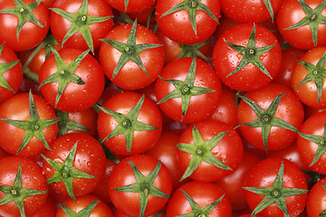 Image showing Small cocktail tomatoes