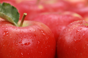 Image showing Red apples