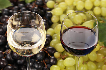 Image showing Red and white wine