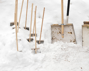 Image showing shovels
