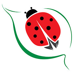 Image showing Lady bug