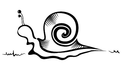 Image showing Snail