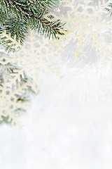 Image showing Snowy spruce branches