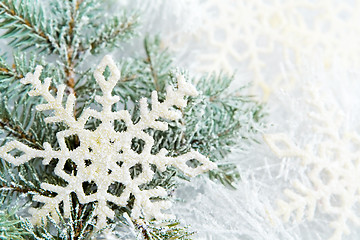 Image showing Snowy spruce branches