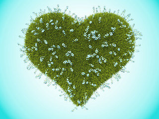 Image showing Green grass heart with forget-me-not flowers