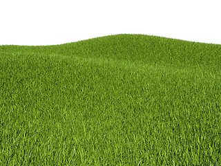 Image showing Green grass meadows and hills 