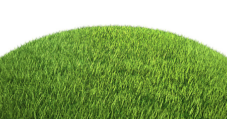 Image showing Green grass on hill isolated on white