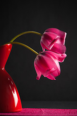 Image showing pink tulips in a vase on a black background 