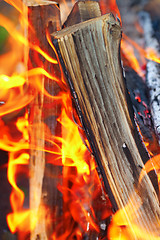 Image showing Bonfire close-up view