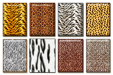 Image showing Wild animal skin