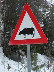 Image showing Trafic sign