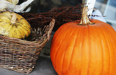 Image showing Pumpkin and gourd