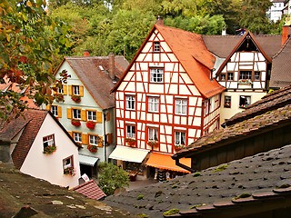 Image showing Tiled Rooftops