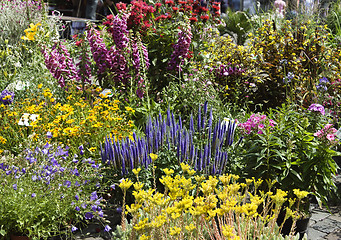 Image showing Flower market