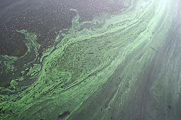 Image showing Water pollution