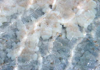 Image showing Raw salt texture