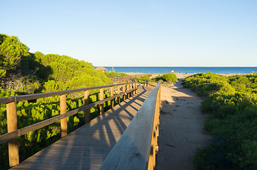 Image showing Carabassi beach