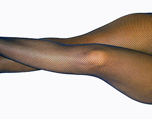 Image showing Fishnet Thighs