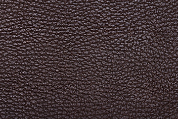 Image showing Natural qualitative brown leather texture. Close up.