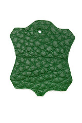 Image showing green leather