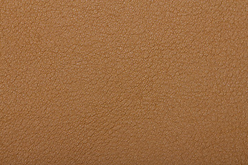 Image showing Skin texture background