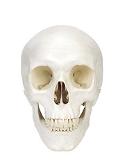 Image showing human scull isolated on white background