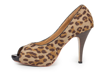 Image showing ladies shoes leopard on a white background