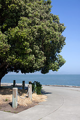 Image showing Path along the coast