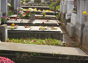 Image showing graves with flowers